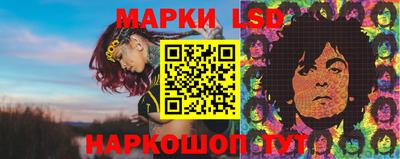 амф Можга