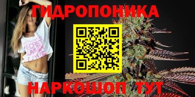 соль ск Моздок