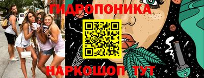 амф Можга