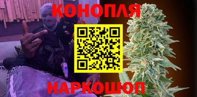 амф Можга