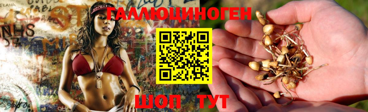 ГАШИШ Тверь